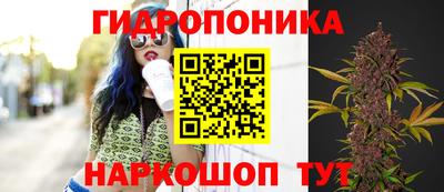 стафф Балахна