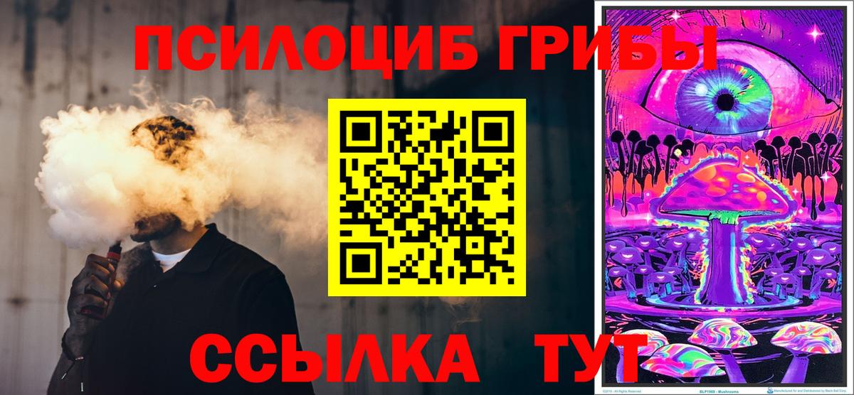 Галлюциногенные грибы Psilocybe  Вход с VPN  Дмитров 